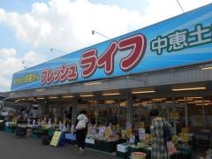 フレッシュライフ中恵土店