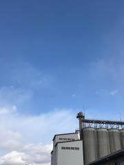 ＪＡグリーン近江八幡西支店