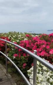 西海国立公園