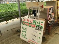 ストロベリーファーム
