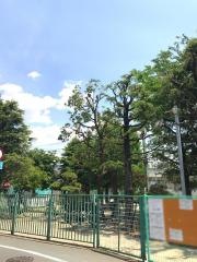 海神小学校