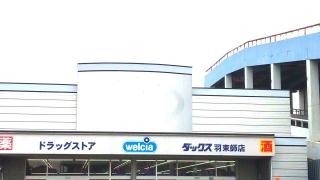 ダックス羽束師店