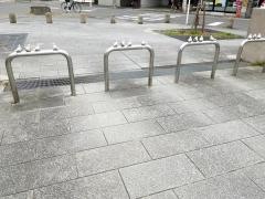 光徳公園