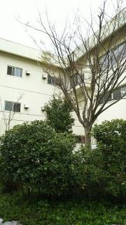 岡山県立玉野高等学校