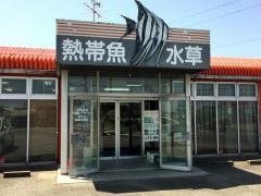 やとみフイッシュ