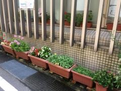 長谷川ひふ科クリニック