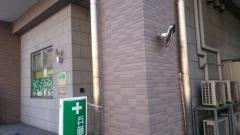兵藤動物病院阪東橋