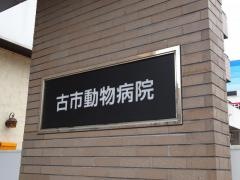 古市動物病院