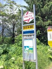 「白石本通８丁目」バス停留所
