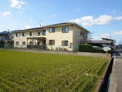 新涯