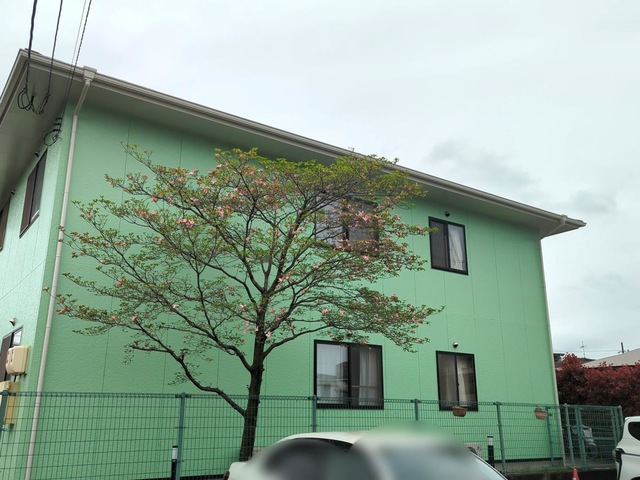 新涯