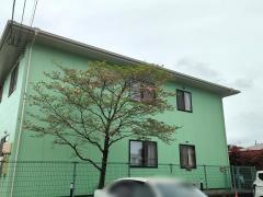 新涯