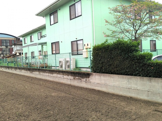 新涯