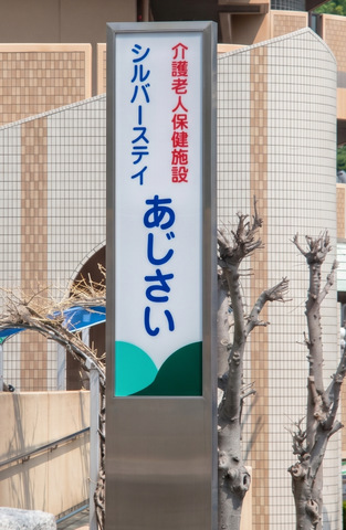 シルバーステイあじさい