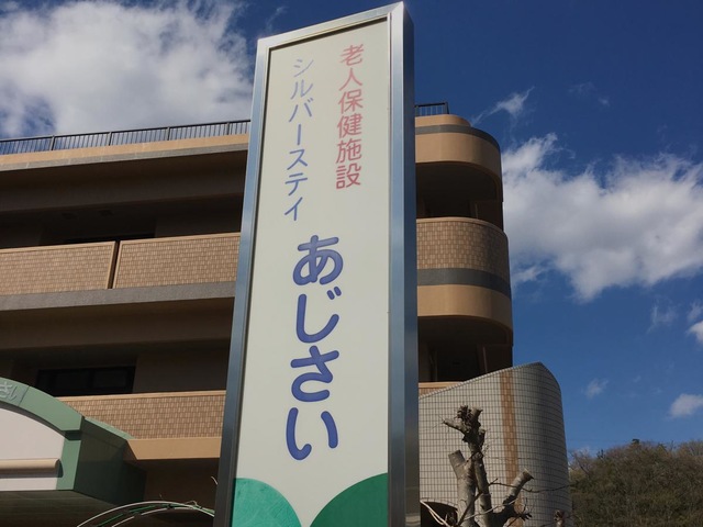 シルバーステイあじさい