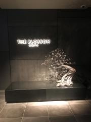 ＴＨＥ　ＢＬＯＳＳＯＭ　ＨＩＢＩＹＡ（ザ　ブラッサム　日比谷）