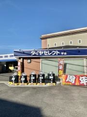 タイヤセレクト　宇治