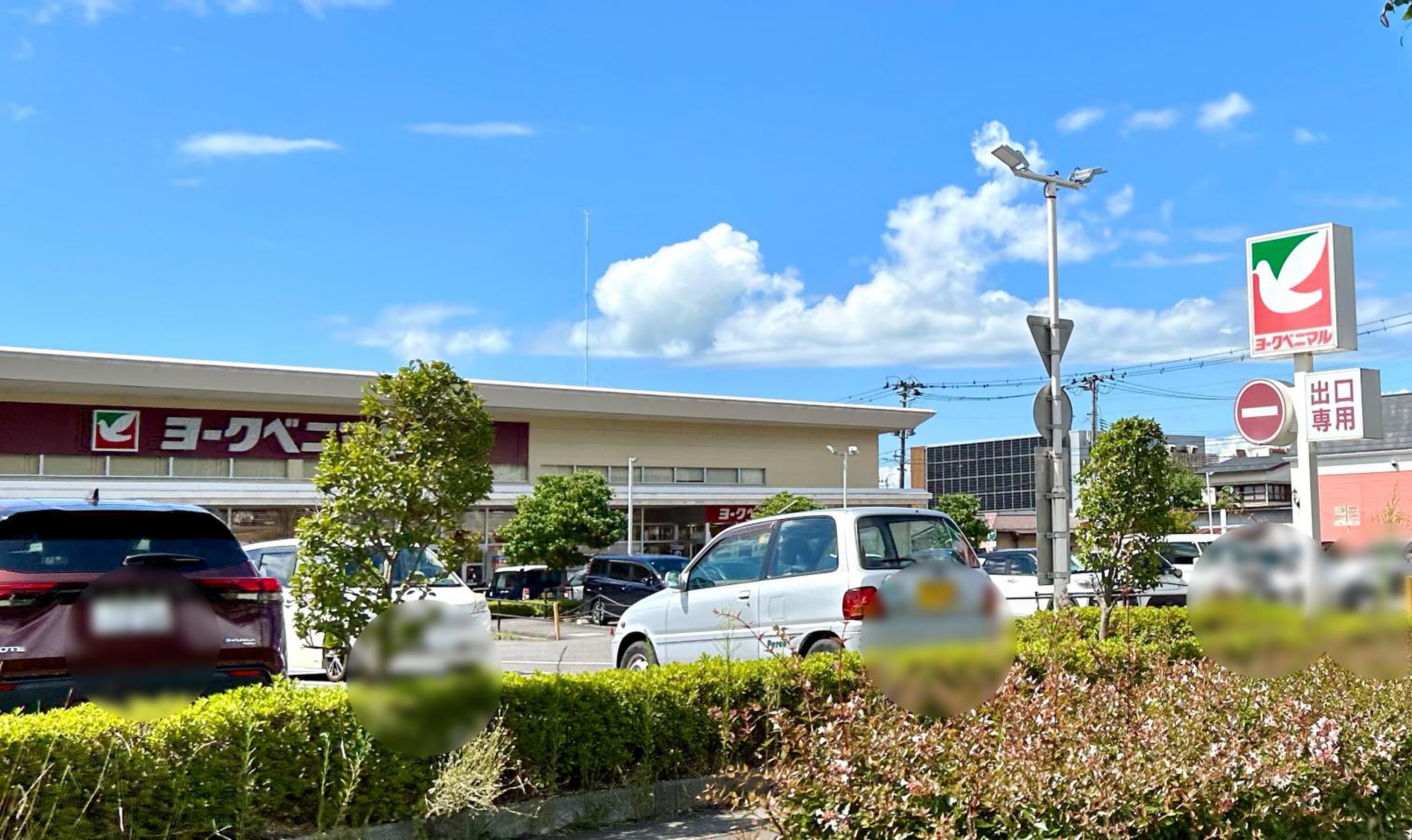 ヨークベニマル 花 春 店