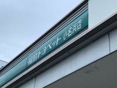 福島トヨペットいわき小名浜店
