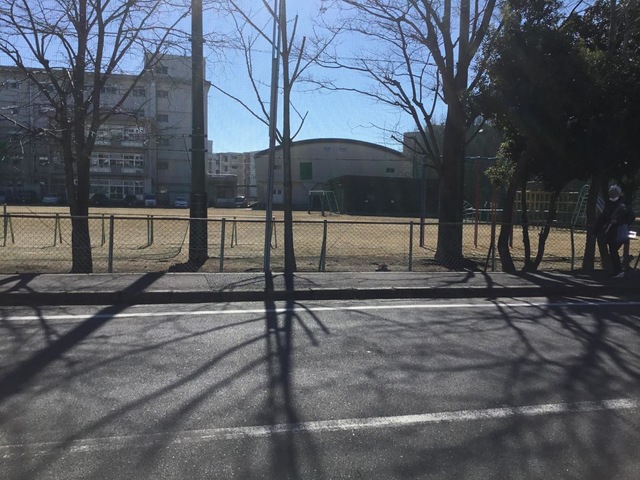 投稿写真1