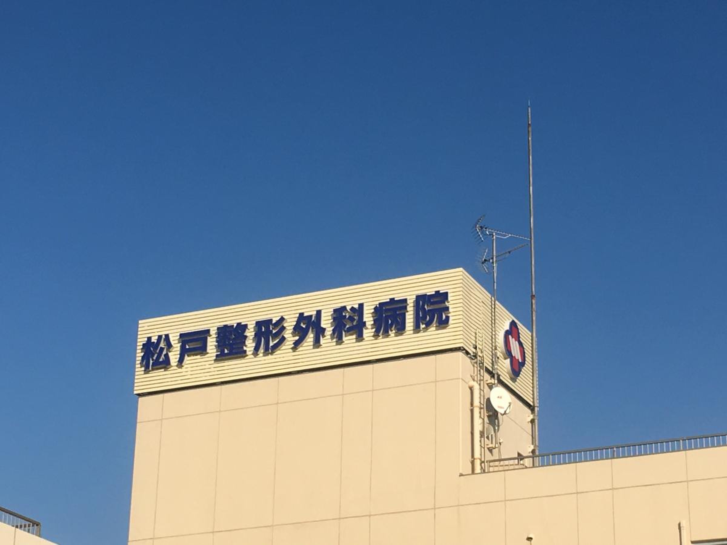 松戸 整形 外科