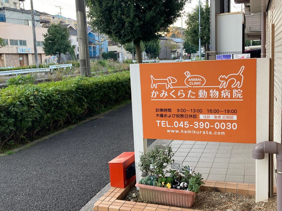 かみくらた動物病院の施設外観です。