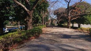 「三橋総合公園」バス停留所