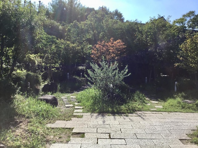 投稿写真1