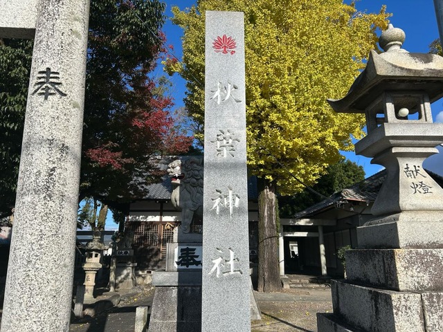 投稿写真7
