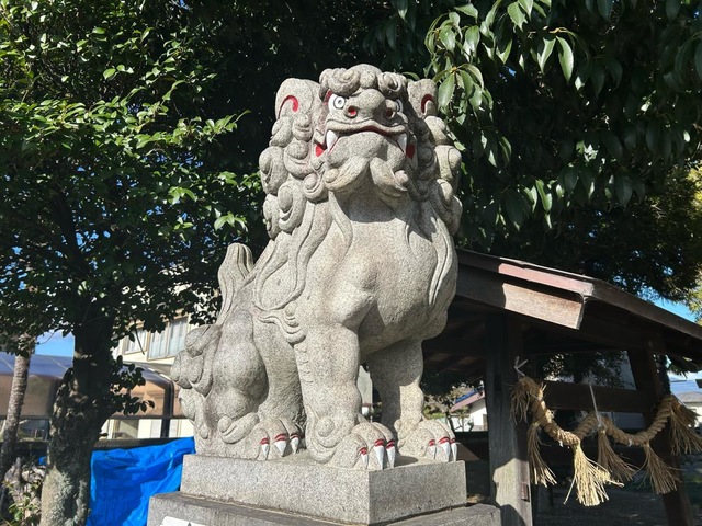 投稿写真6