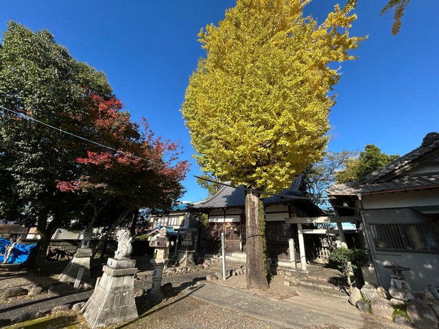 投稿写真3