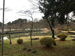 芝水園