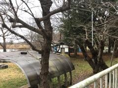 芝水園
