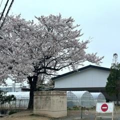 古川第三小学校