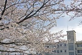明和東小学校