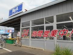 ビッグ・エー　八千代八千代台西店