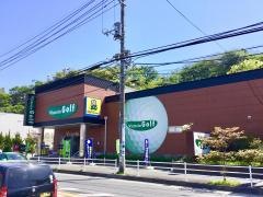 ヴィクトリアゴルフ　藤沢川名店