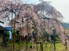 瑠璃寺