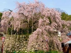 瑠璃寺