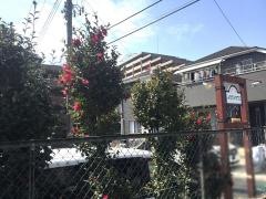 アンダンテ