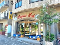 セルバス亀戸店