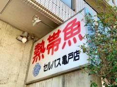 セルバス亀戸店