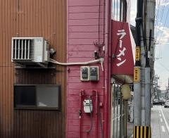 大博軒