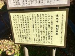 遠照寺の亀島庭園