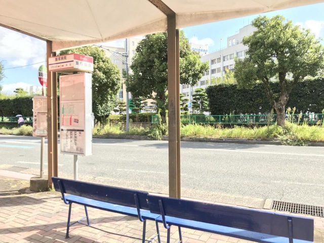 投稿写真3