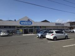 ウエルシア　伊達掛田店