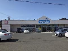 ウエルシア　伊達掛田店