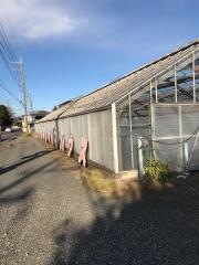 ストロベリーハウス