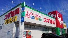 スギ薬局　汗干店