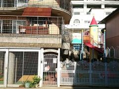 ゆりか認定こども園